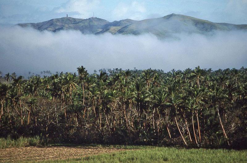 WT 0100 006-08 Fiji.jpg